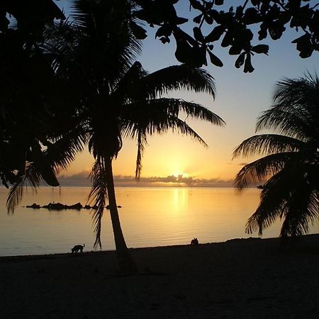 Tahiti - Taharuu Houses Surf & Beach Papara Exteriör bild